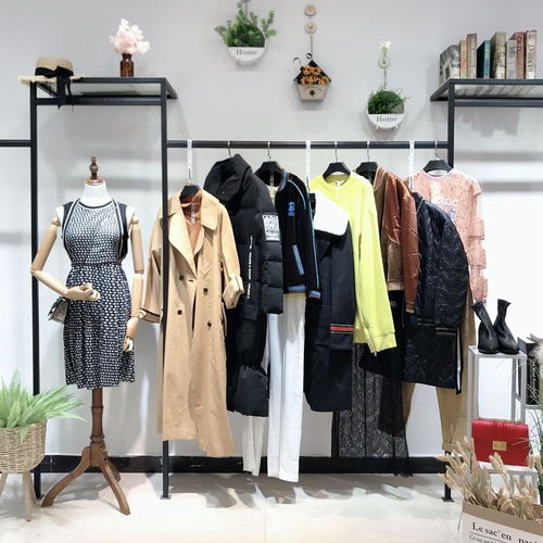 大码女装新时尚，批发商机尽显优雅与舒适